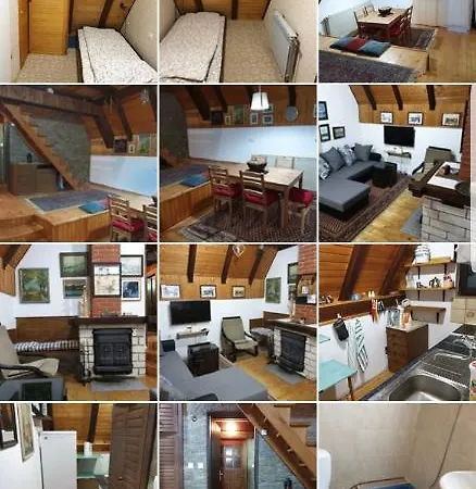 Teodor コパオニク