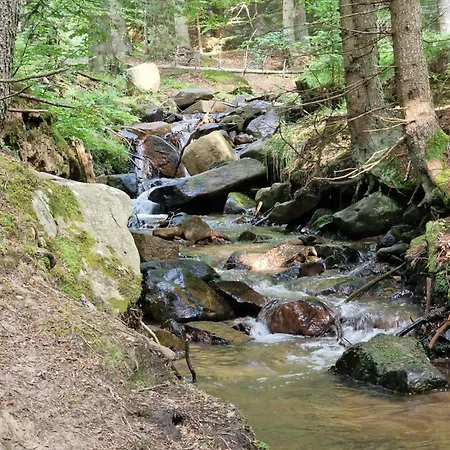 Teodor * コパオニク